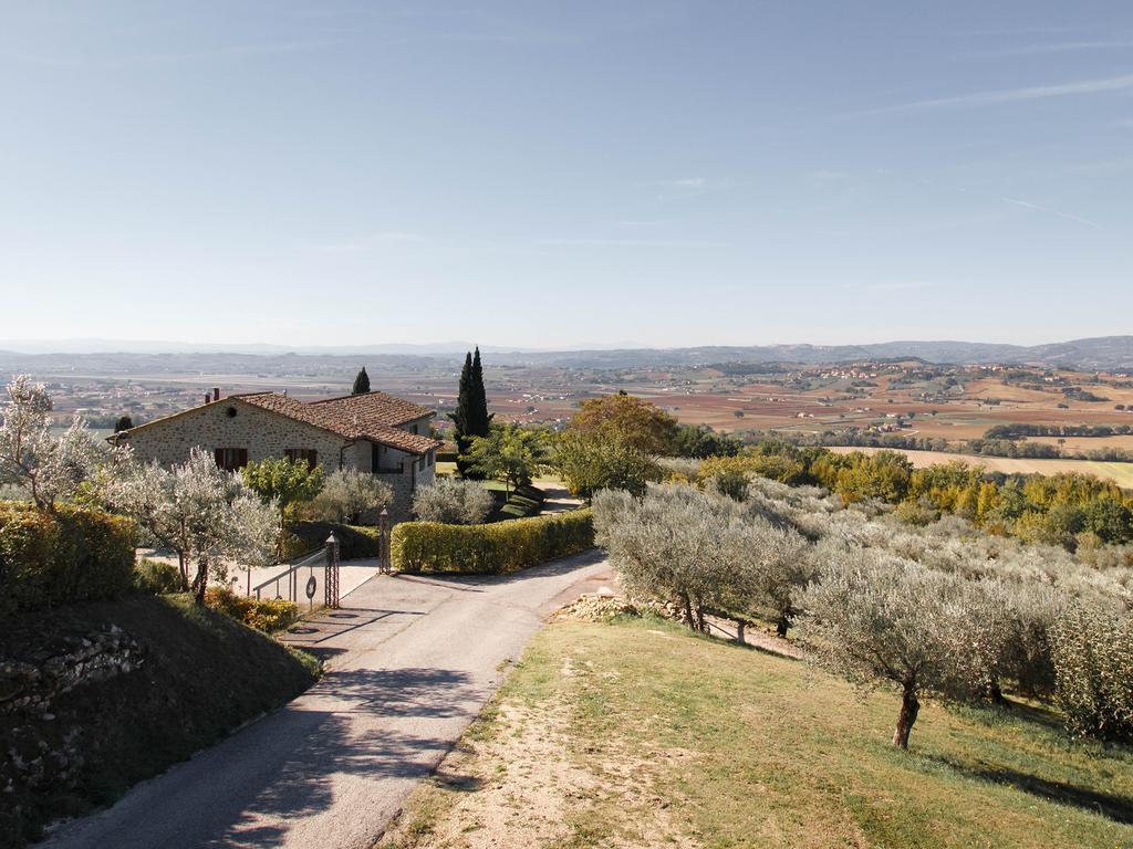 Agriturismo Le Colombe Assisi Ngoại thất bức ảnh