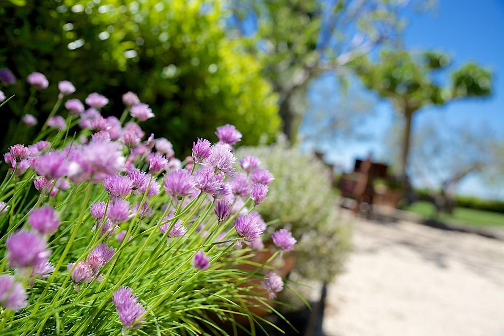 Agriturismo Le Colombe Assisi Ngoại thất bức ảnh