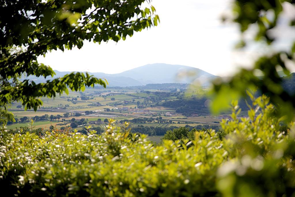 Agriturismo Le Colombe Assisi Ngoại thất bức ảnh