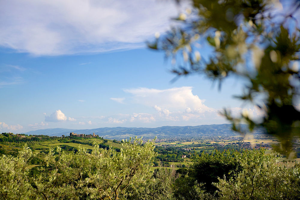 Agriturismo Le Colombe Assisi Ngoại thất bức ảnh
