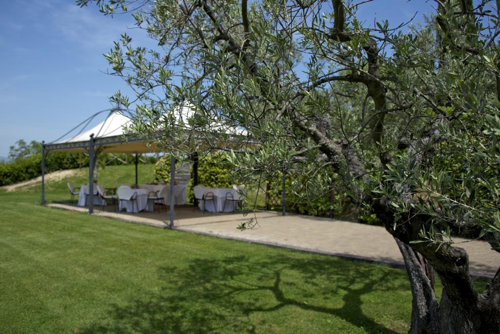 Agriturismo Le Colombe Assisi Ngoại thất bức ảnh