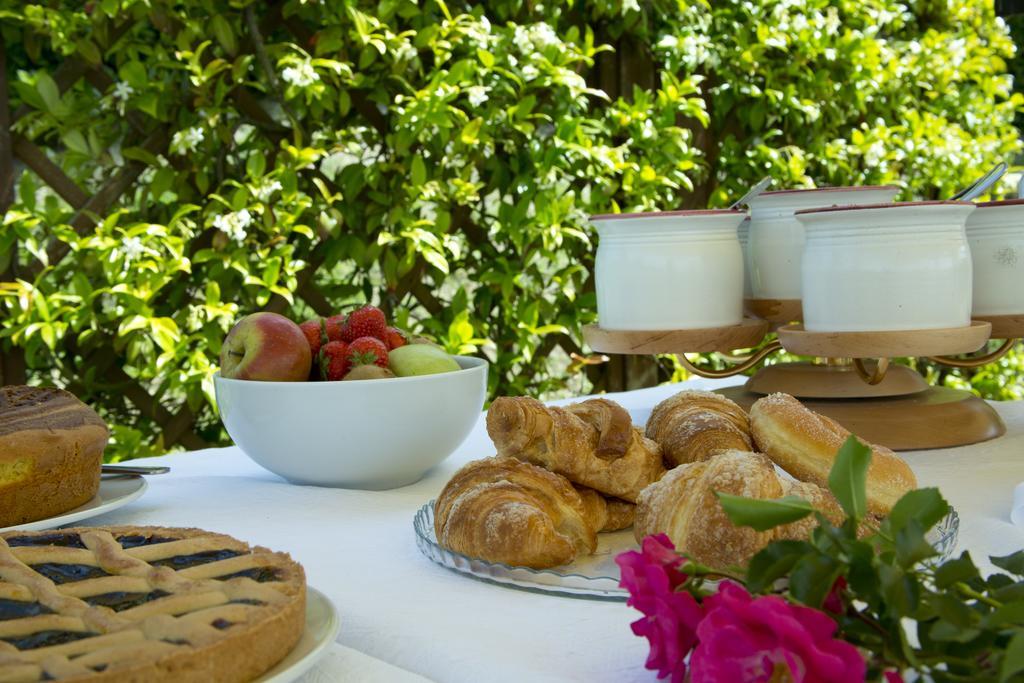Agriturismo Le Colombe Assisi Ngoại thất bức ảnh