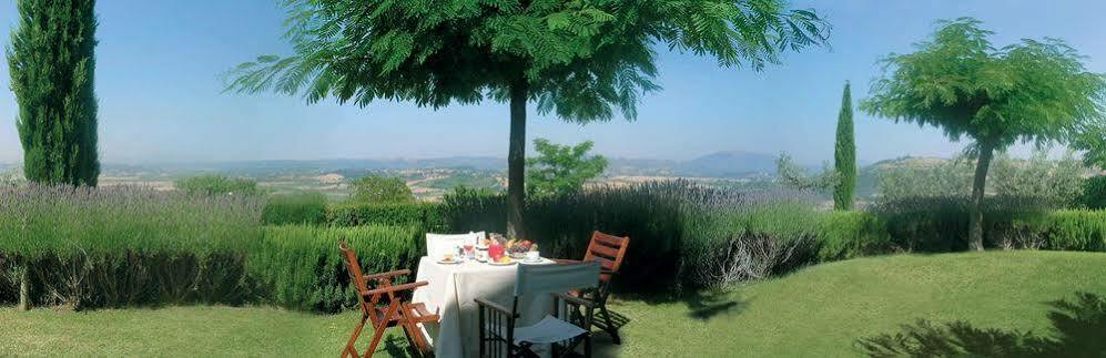 Agriturismo Le Colombe Assisi Ngoại thất bức ảnh